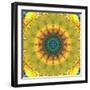 Mandala Ornament from Flower Photographs, Conceptual Layer Work-Alaya Gadeh-Framed Photographic Print