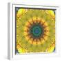 Mandala Ornament from Flower Photographs, Conceptual Layer Work-Alaya Gadeh-Framed Photographic Print