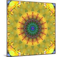 Mandala Ornament from Flower Photographs, Conceptual Layer Work-Alaya Gadeh-Mounted Photographic Print