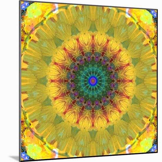 Mandala Ornament from Flower Photographs, Conceptual Layer Work-Alaya Gadeh-Mounted Photographic Print