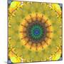 Mandala Ornament from Flower Photographs, Conceptual Layer Work-Alaya Gadeh-Mounted Photographic Print