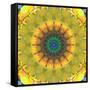 Mandala Ornament from Flower Photographs, Conceptual Layer Work-Alaya Gadeh-Framed Stretched Canvas