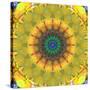 Mandala Ornament from Flower Photographs, Conceptual Layer Work-Alaya Gadeh-Stretched Canvas