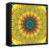 Mandala Ornament from Flower Photographs, Conceptual Layer Work-Alaya Gadeh-Framed Stretched Canvas