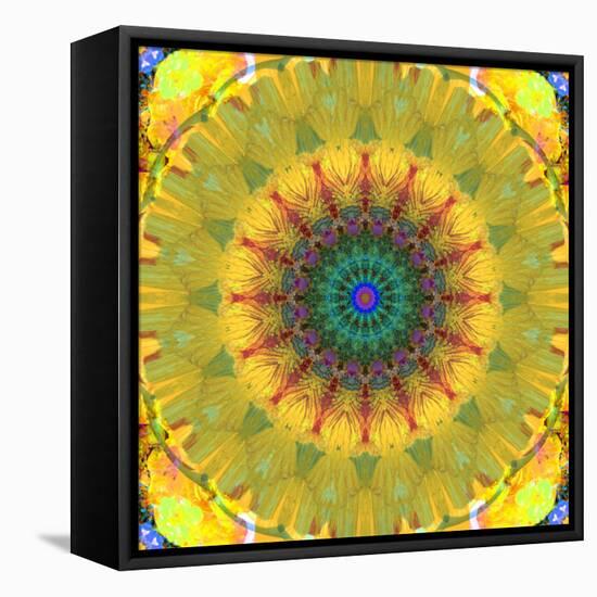 Mandala Ornament from Flower Photographs, Conceptual Layer Work-Alaya Gadeh-Framed Stretched Canvas