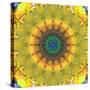 Mandala Ornament from Flower Photographs, Conceptual Layer Work-Alaya Gadeh-Stretched Canvas
