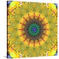 Mandala Ornament from Flower Photographs, Conceptual Layer Work-Alaya Gadeh-Stretched Canvas