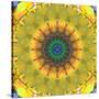 Mandala Ornament from Flower Photographs, Conceptual Layer Work-Alaya Gadeh-Stretched Canvas