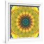 Mandala Ornament from Flower Photographs, Conceptual Layer Work-Alaya Gadeh-Framed Photographic Print