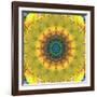 Mandala Ornament from Flower Photographs, Conceptual Layer Work-Alaya Gadeh-Framed Photographic Print