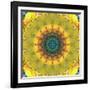 Mandala Ornament from Flower Photographs, Conceptual Layer Work-Alaya Gadeh-Framed Photographic Print