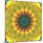 Mandala Ornament from Flower Photographs, Conceptual Layer Work-Alaya Gadeh-Mounted Photographic Print