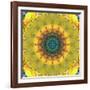 Mandala Ornament from Flower Photographs, Conceptual Layer Work-Alaya Gadeh-Framed Photographic Print