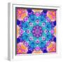 Mandala Ornament from Flower Photographs, Conceptual Symmetric Layer Work in Square Format-Alaya Gadeh-Framed Photographic Print