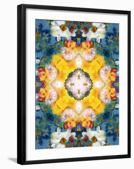 Mandala Ornament from Flower Photographs-Alaya Gadeh-Framed Photographic Print