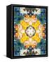 Mandala Ornament from Flower Photographs-Alaya Gadeh-Framed Stretched Canvas