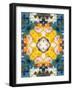 Mandala Ornament from Flower Photographs-Alaya Gadeh-Framed Photographic Print