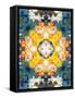 Mandala Ornament from Flower Photographs-Alaya Gadeh-Framed Stretched Canvas