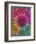 Mandala Ornament from Flower Photographs-Alaya Gadeh-Framed Photographic Print