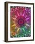 Mandala Ornament from Flower Photographs-Alaya Gadeh-Framed Photographic Print