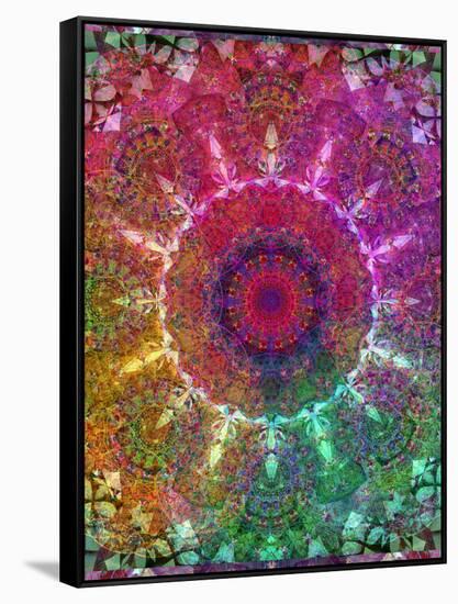 Mandala Ornament from Flower Photographs-Alaya Gadeh-Framed Stretched Canvas