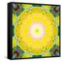 Mandala Ornament from Flower Photographs-Alaya Gadeh-Framed Stretched Canvas