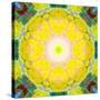 Mandala Ornament from Flower Photographs-Alaya Gadeh-Stretched Canvas