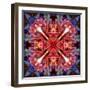 Mandala Ornament from Flower Photographs-Alaya Gadeh-Framed Photographic Print