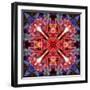 Mandala Ornament from Flower Photographs-Alaya Gadeh-Framed Photographic Print