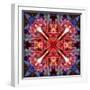 Mandala Ornament from Flower Photographs-Alaya Gadeh-Framed Photographic Print