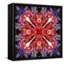 Mandala Ornament from Flower Photographs-Alaya Gadeh-Framed Stretched Canvas