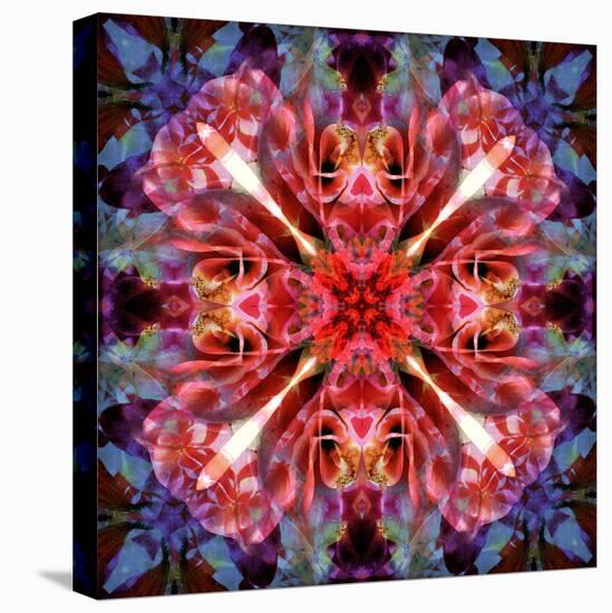 Mandala Ornament from Flower Photographs-Alaya Gadeh-Stretched Canvas