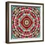 Mandala Ornament from Flower Photographs-Alaya Gadeh-Framed Photographic Print