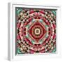 Mandala Ornament from Flower Photographs-Alaya Gadeh-Framed Photographic Print