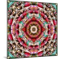 Mandala Ornament from Flower Photographs-Alaya Gadeh-Mounted Photographic Print