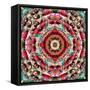 Mandala Ornament from Flower Photographs-Alaya Gadeh-Framed Stretched Canvas