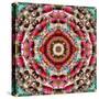 Mandala Ornament from Flower Photographs-Alaya Gadeh-Stretched Canvas