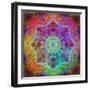 Mandala Ornament from Flower Photographs-Alaya Gadeh-Framed Photographic Print