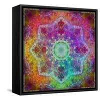 Mandala Ornament from Flower Photographs-Alaya Gadeh-Framed Stretched Canvas