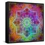 Mandala Ornament from Flower Photographs-Alaya Gadeh-Framed Stretched Canvas