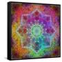 Mandala Ornament from Flower Photographs-Alaya Gadeh-Framed Stretched Canvas