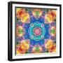 Mandala Ornament from Flower Photographs-Alaya Gadeh-Framed Photographic Print