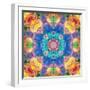 Mandala Ornament from Flower Photographs-Alaya Gadeh-Framed Photographic Print