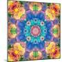 Mandala Ornament from Flower Photographs-Alaya Gadeh-Mounted Photographic Print