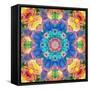 Mandala Ornament from Flower Photographs-Alaya Gadeh-Framed Stretched Canvas