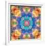 Mandala Ornament from Flower Photographs-Alaya Gadeh-Framed Photographic Print