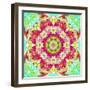 Mandala Ornament from Flower Photographs-Alaya Gadeh-Framed Photographic Print