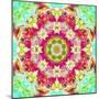 Mandala Ornament from Flower Photographs-Alaya Gadeh-Mounted Photographic Print