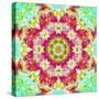 Mandala Ornament from Flower Photographs-Alaya Gadeh-Stretched Canvas