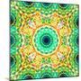 Mandala Ornament from Flowers-Alaya Gadeh-Mounted Photographic Print